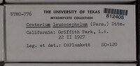 Image Associated With the Occurence